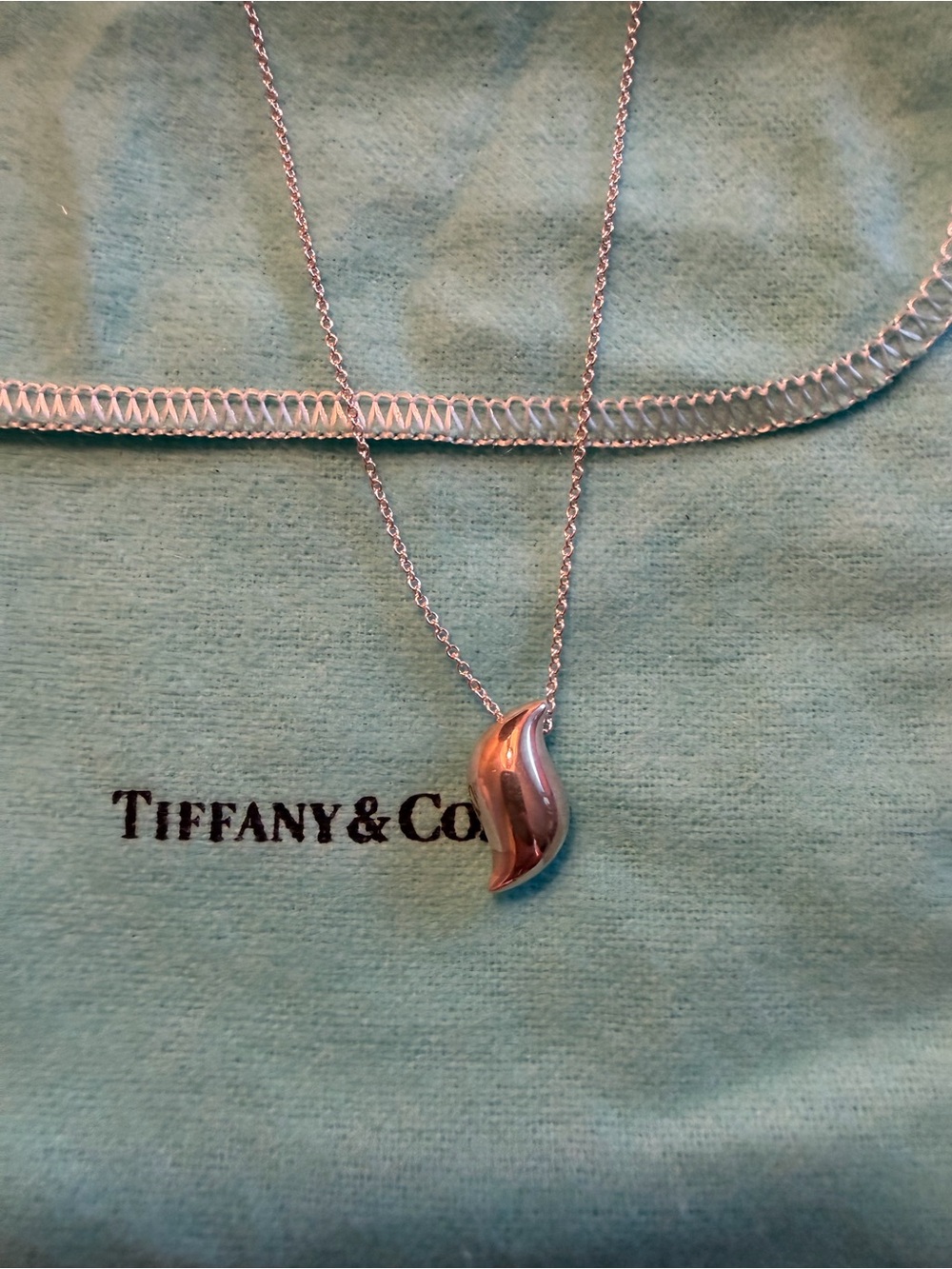 Tiffany & Co. Elsa Peretti Feather Pendant Necklace in Silver